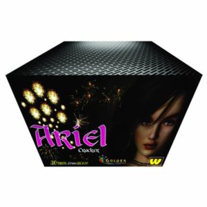 Torta 030tb. Ariel