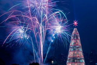 Fogos árvore e natal Ibirapuera